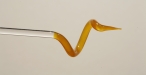 Orchideenstab gelb-orange